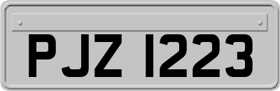 PJZ1223