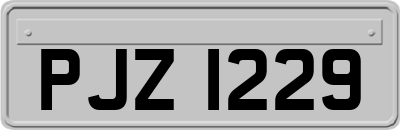 PJZ1229