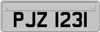 PJZ1231