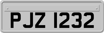 PJZ1232