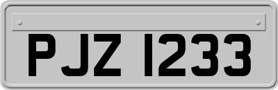 PJZ1233