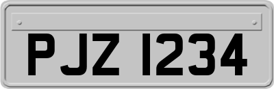 PJZ1234