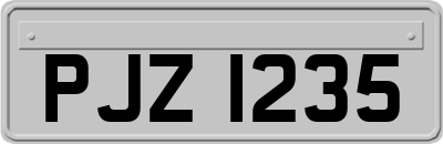 PJZ1235