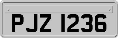 PJZ1236