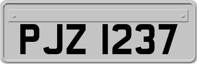 PJZ1237