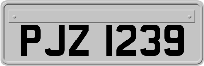 PJZ1239