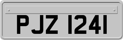 PJZ1241