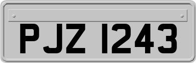 PJZ1243