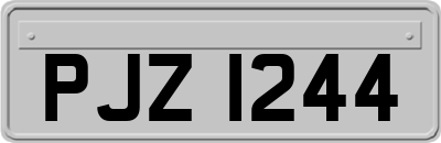 PJZ1244