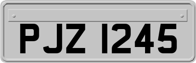 PJZ1245