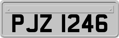 PJZ1246
