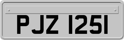 PJZ1251