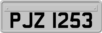 PJZ1253