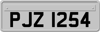 PJZ1254
