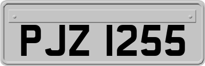 PJZ1255
