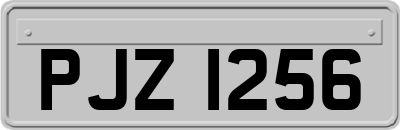 PJZ1256