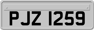 PJZ1259