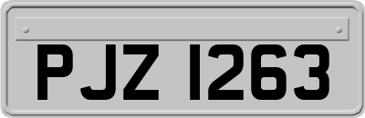 PJZ1263