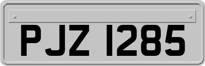 PJZ1285