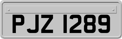 PJZ1289