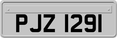 PJZ1291