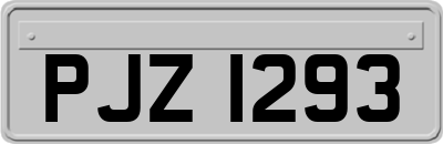 PJZ1293
