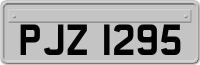 PJZ1295