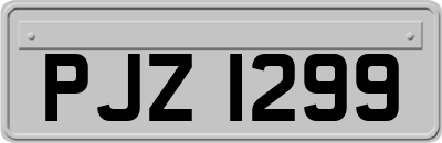 PJZ1299