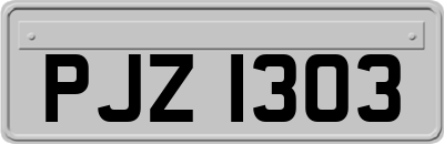 PJZ1303