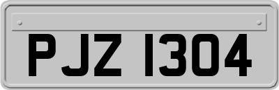 PJZ1304
