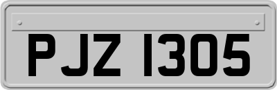 PJZ1305