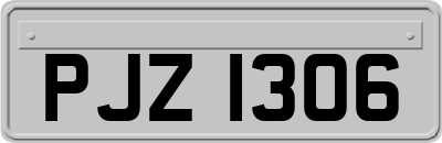 PJZ1306