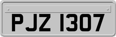 PJZ1307