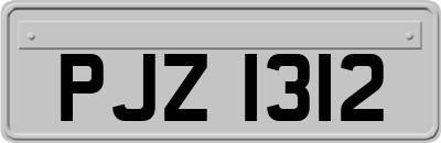 PJZ1312