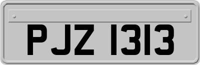 PJZ1313