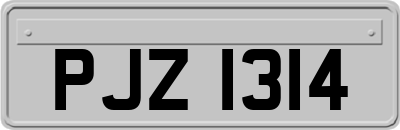 PJZ1314