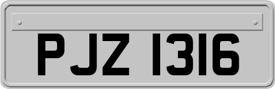 PJZ1316