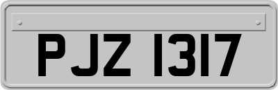 PJZ1317