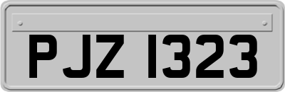 PJZ1323