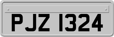 PJZ1324