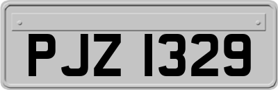 PJZ1329