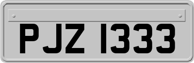 PJZ1333