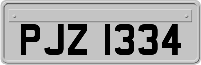 PJZ1334