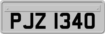 PJZ1340