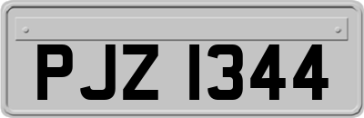 PJZ1344