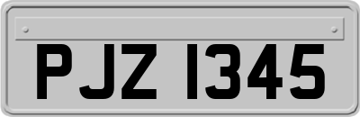 PJZ1345