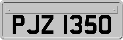 PJZ1350
