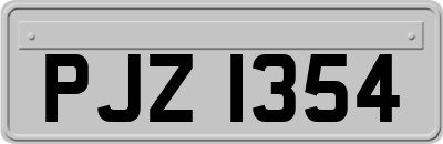 PJZ1354
