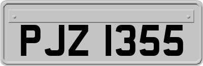 PJZ1355