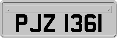 PJZ1361